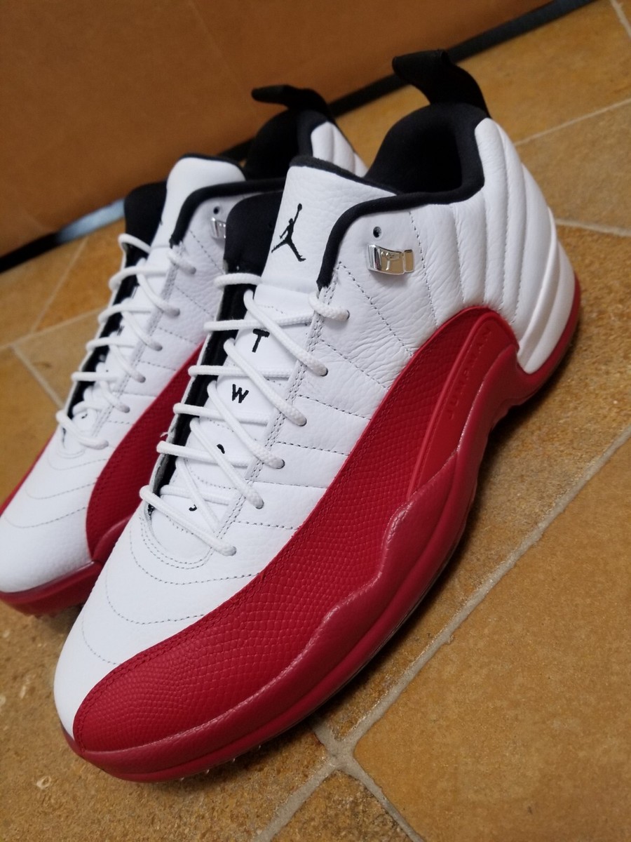 シューズ(男性用) AIR JORDAN12 27cm Air Jordan 12 Retro 