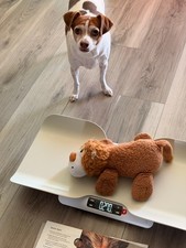 Greater Goods Smart Pet Scale Animals Babies Portable Up To 44 Lbs FREE SHIPPING