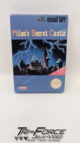 Milon's Secret Castle Nintendo Nes W/ Box No Manual, Tested ! Free Shipping