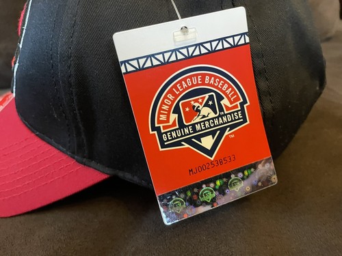 NEW YOUTH CAROLINA MUDCATS MINOR LEAGUE BASEBALL TEAM HAT NWT - Picture 3 of 9