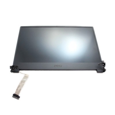 Vollbild 15.6' FHD 1920x1080 144Hz MSI GP65 LEOPARD 9SD Gebraucht