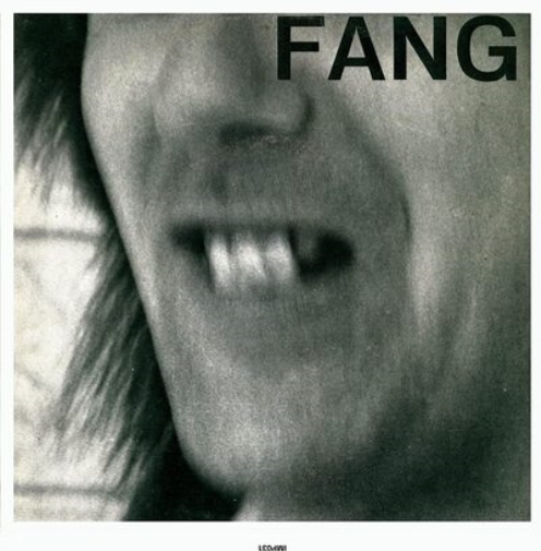Fang Enjoy the View/Yukon Fang (Vinyl LP) 7" Single Coloured Vinyl