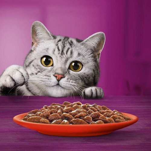 Whiskas 1+ Poultry Feasts Adult Wet Cat Food Pouches in Jelly 80 x 85g Mega Pack - Picture 14 of 18