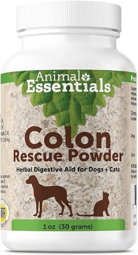 Beautiful view of Natural Digestive Aids For Canine Constipation