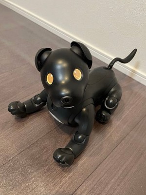 Sony AIBO ERS-1000 Espresso Color Robot Pet Purchased Brand New In 2024 Used JP