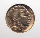 1938 "D/S" Indian Head BUFFALO Nickel 5c NGC MS65 #068 Gem BU Unc ECC&C, Inc.