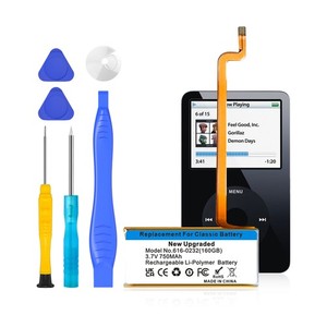 iPod Battery Replacement 30GB | eBay