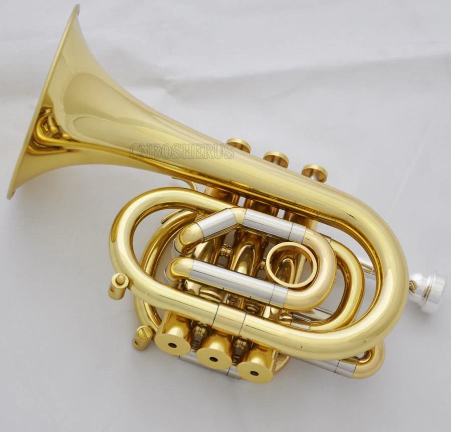 Latón Lacado Llave C Bolsillo Trompeta Cuerno Monel Válvula Nuevo Estuche Foto 4 de 4