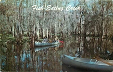 Chrome FL Postcard O427 People in Canoe Fish Eating Creek Tom Gaskins Palmdale
