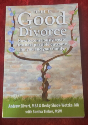 The Good Divorce: How to Consciously Create the Best Possible Outcome Book