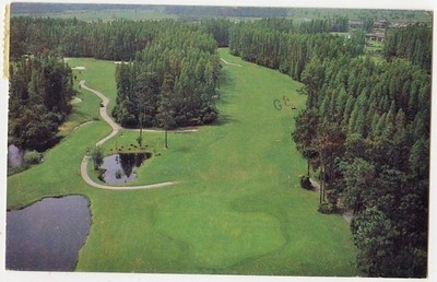 Wesley Chapel Fl Saddlebrook Championship Golf Course 1984 Vintage Postcard