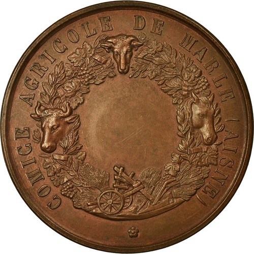Médaille Centenaire Comice Agricole De Soissons 1845-1945 - En Bronze, Française