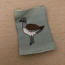 (e)girl Guide County Badge Wiltshire