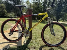 Paola Pezzo Saab Gary Fisher Team Tribute Bike