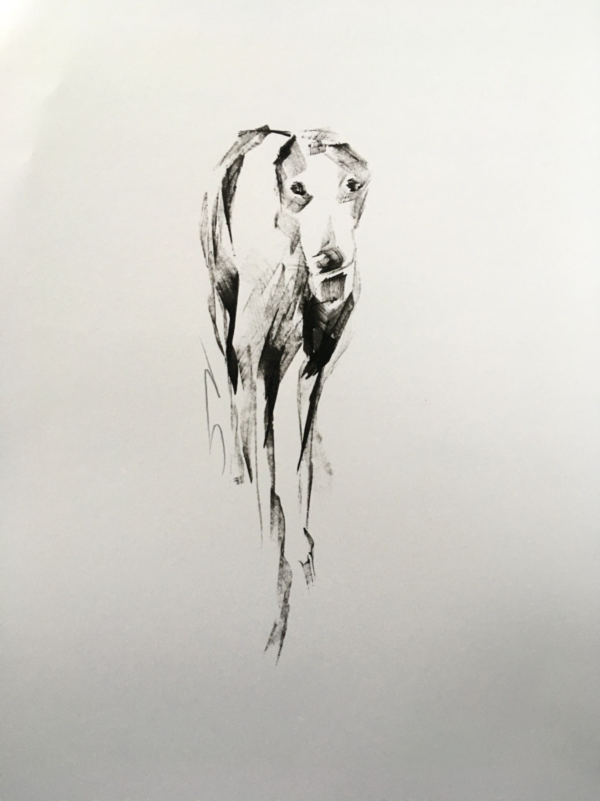 Picture 1 of 6