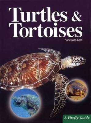 Turtles and Tortoises (A Firefly Guide) - Paperback By Ferri, Vincenzo - GOOD
