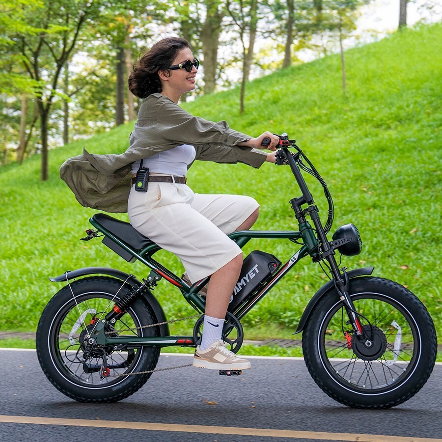 AMYET S8 2000W Electric Bike - Dual Motor AWD, 48V/25Ah, 20" Fat Tires, 50-Mile Range (2024 Model)