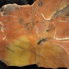 Orange & Yellow Petrified wood Chunk w/ White Veins, Unpolished — photo 2
