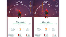  Shiny Charcadet (Schillernd Knarbon) Pokemon...
