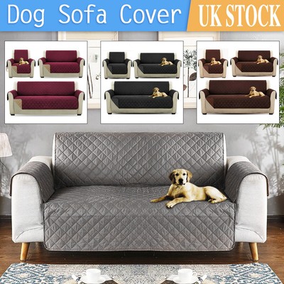 dog throw for sofa