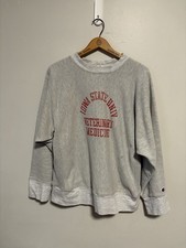 Vintage 1980s Champion Reverse Weave Iowa Sta...