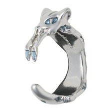 Pokémon Accessory Ring 50 ※size12※ pokemon Chien-Pao