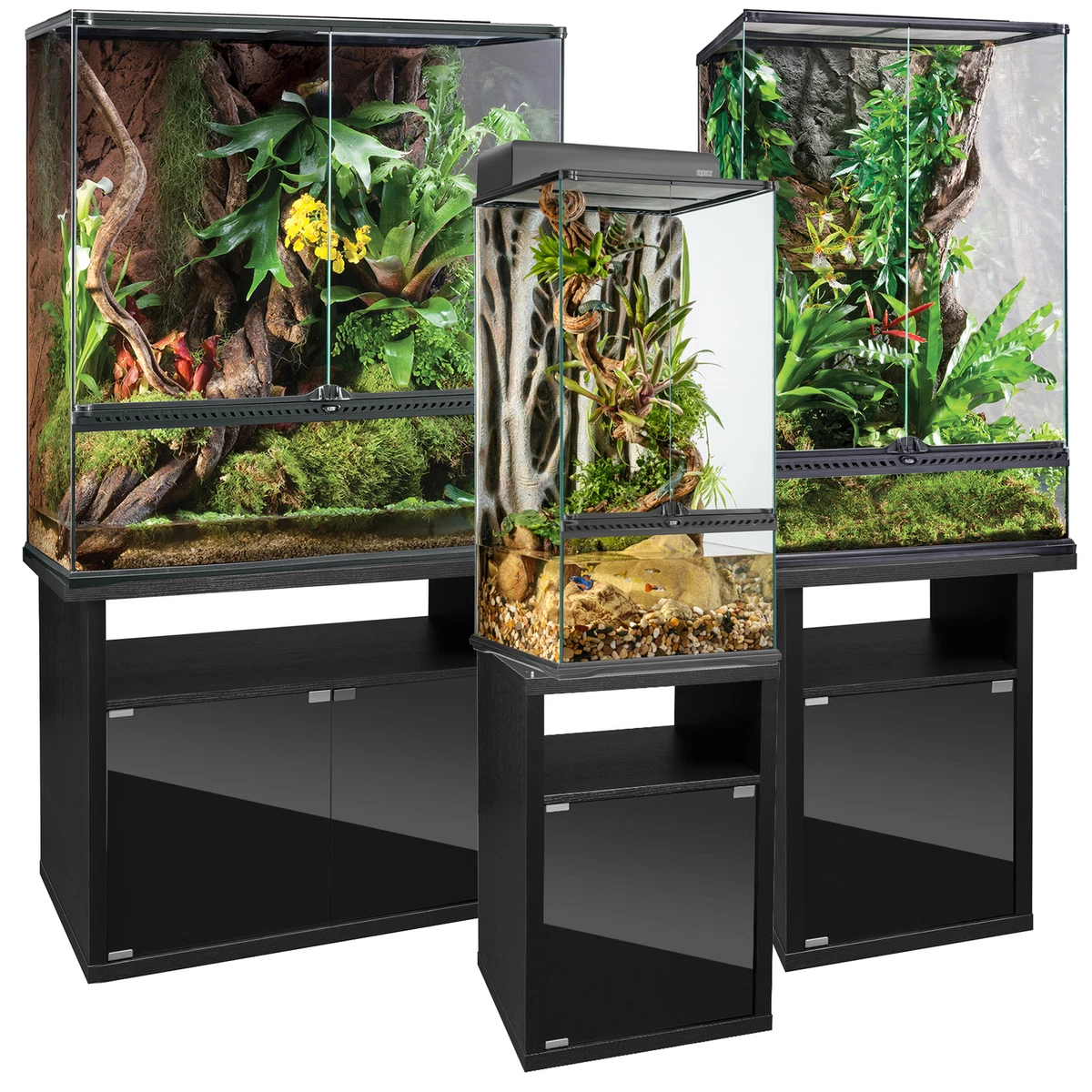 Exo Terra Terrarium Matttroy