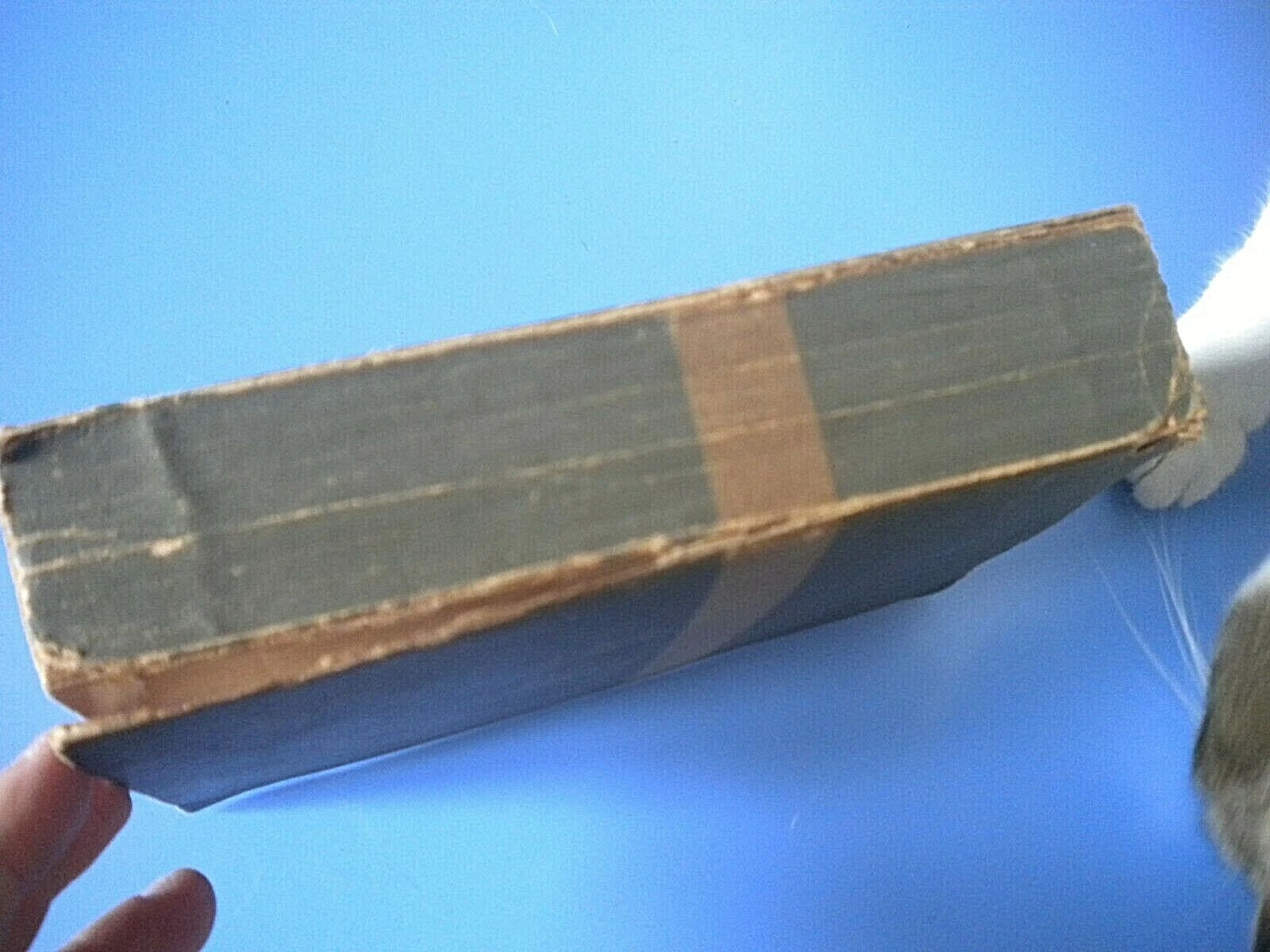 Foto 7 di 7