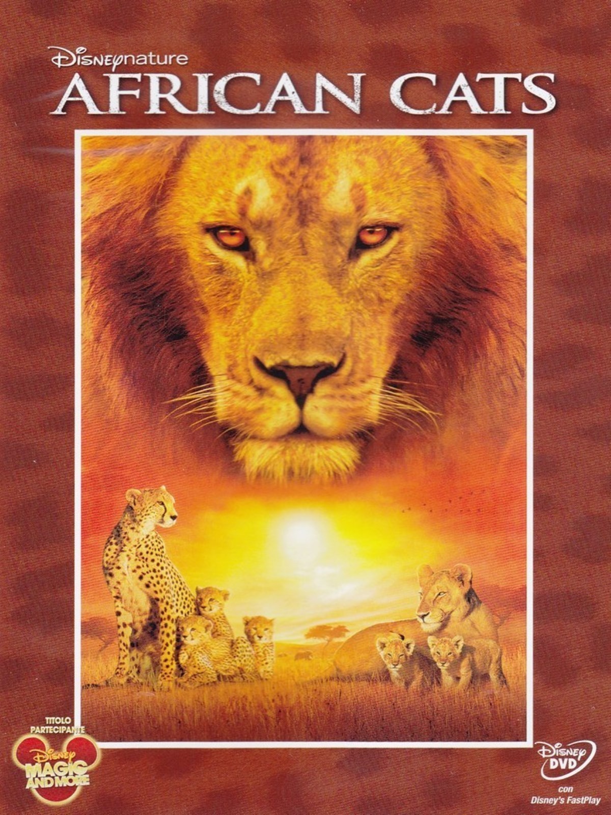 FILM DVD - AFRICAN CATS - Nuovo!!