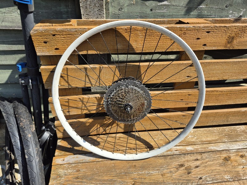 26 Rear Wheel With Rotor And Xt M8000 Cassette