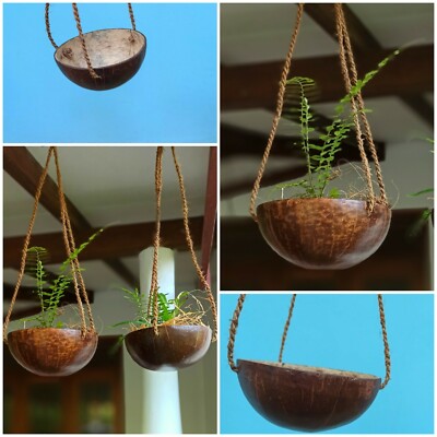 NATURAL COCONUT SHELLS FLOWER PLANT POTS POLISHED WALL HANGING DECORATION GARDEN