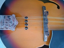 Overtone String Suppressors for Mandolin  I will include 2 spares.