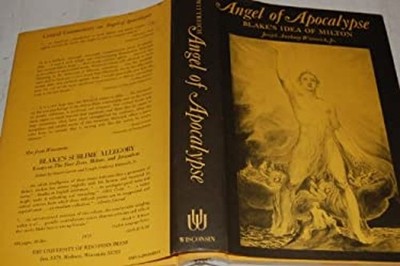 Angel of Apocalypse : Blake's Idea of Milton Hardcover Joseph A.,