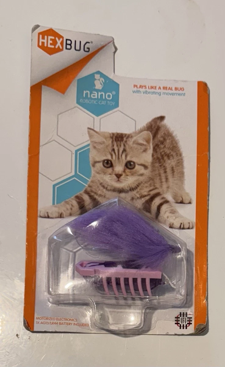 HEXBUG Robotic Bug Cat Toy PURPLE New Hex bug Nano Extra Battery Includ |  eBay