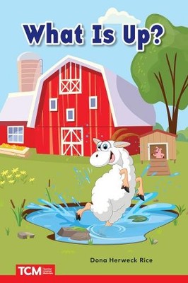 Dona Herweck Rice What Is Up? (Paperback) Decodable Books: Read & Succeed