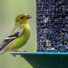 Bild 4 von 7