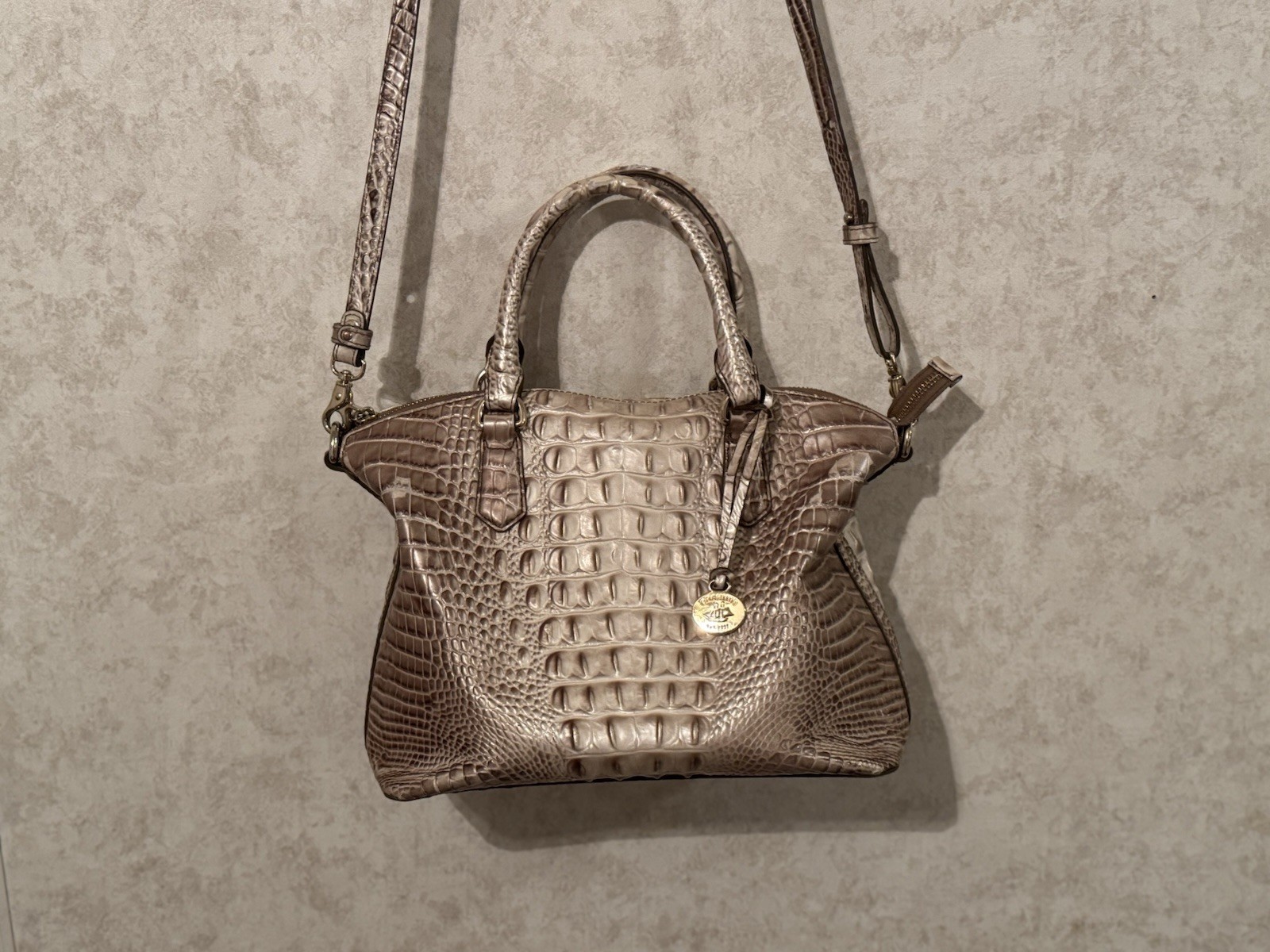 Brahmin Large - image 1