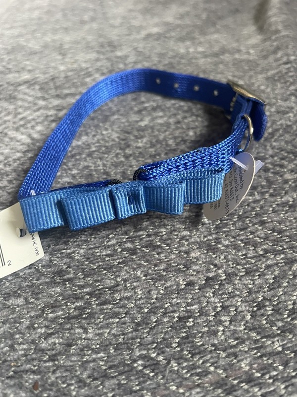 Wisker City 10” Cat Collar With Bell Kitty Pet Animal Meow
