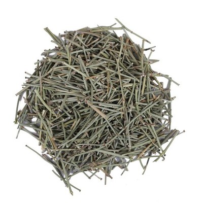 Somlata Gerard Jointfir Khanta Asmania Gerardiana Herb Branch Stem Herbal
