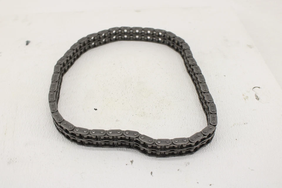 Harley Davidson Electra Glide Road King Street 99-06 doble cámara 88 cadena primaria Foto 4 de 4