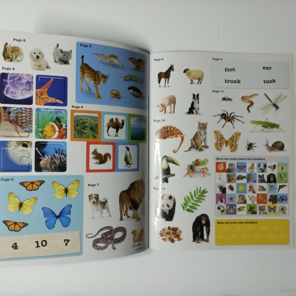 Horses and Ponies Cute Animals Sticker Book Over 30 Fun