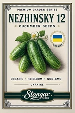Seeds Cucumber Vegetable Nezhinsky 12 Organic Heirloom NON-GMO Ukraine Seeds