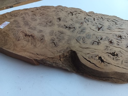 700x300x28mm Full Burr Oak Hardwood Timber Plank 170620 - Picture 6 of 10