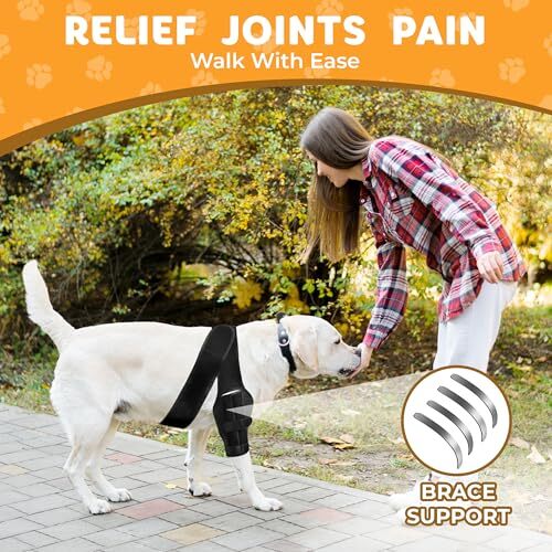New Dog Knee Brace for Luxating Patella, ACL or Cruciate Ligament Injury Large - Picture 5 of 7