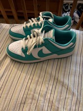 Nike dunks blue and white size 11 good condit...