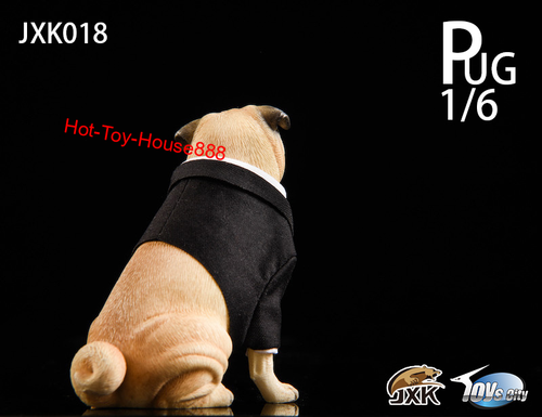 JxK 1/6 Suit Pug Dog Model Pet Model for 12''Action Figure Collection Decoration - Picture 10 of 11