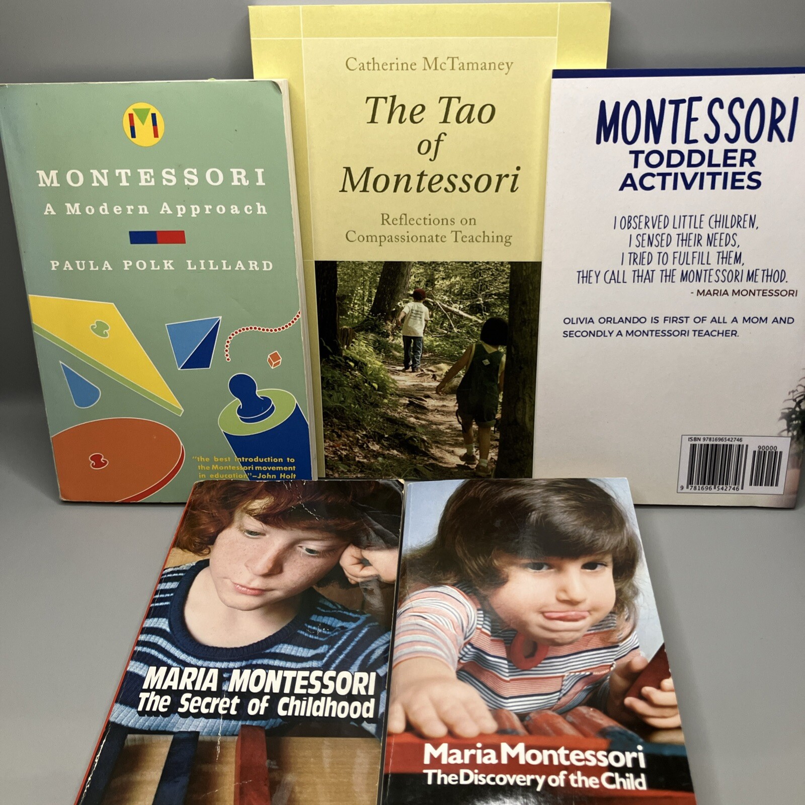 Maria Montessori Method Tao Montessori Toddler Childhood Activities 5 Paperback.