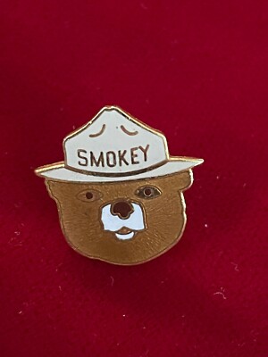 US Forest Service Wild Fire Prevention Campaign Smokey Bear Cloisonné Lapel Pin