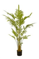 Artplants KüNstlicher GoldtüPfelfarn Klavon, GrüN, 150Cm