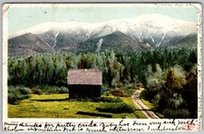 Antique Postcard Log Cabin Trail Sugar Hill, NH 1900s